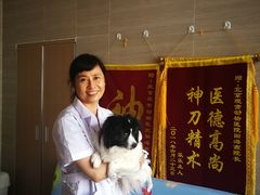 -北京观赏动物医院·24小时大型综合·猫专科·异宠专科