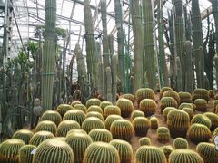 -南山植物园