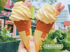 -麦当劳(金桥店)