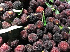 杨梅-淡村菜市场