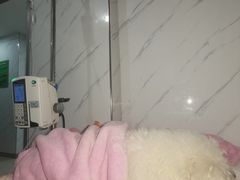 -宝山区动物疫病预防控制中心(永乐汇生活广场店)