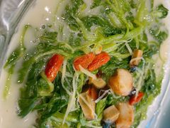白灼菜心-京粤荟(海王银河科技大厦店)