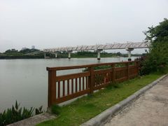 android_upload_pic-大湾区中央湿地公园