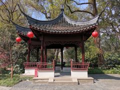 -上海醉白池公园