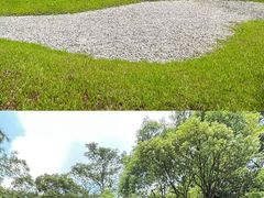 -云溪植物园