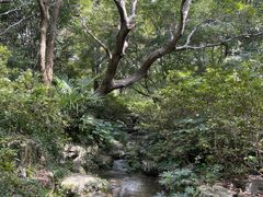 -上海滨江森林公园