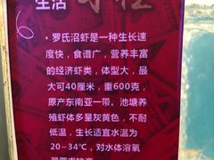 -钳真多钓虾馆·小龙虾海鲜烧烤(九六广场店)