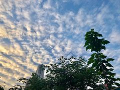 -马鹦路(地铁站)