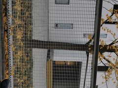 -北京八中游泳馆