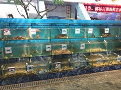 水产区-范饭椰林川湘味海鲜·椰子鸡(三亚湾椰梦长廊店)