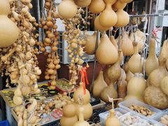 -中环花鸟鱼虫市场