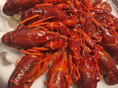 -怪怪龙虾·澳洲蓝龙王·深夜食堂(惊驾路店)