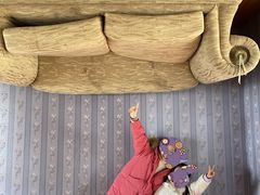 -金山农民画村-枫泾波兰倒置屋