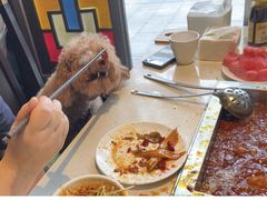 -红鼎坊·老成都火锅(新南门店)