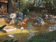 -昆明动物园