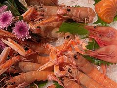 -Mr·Fish鱼鲜生海鲜放题(银泰in99店)