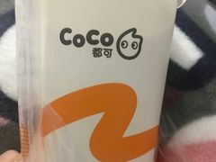 -CoCo都可(骆家庄新店)