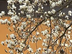 -宝岩生态观光园