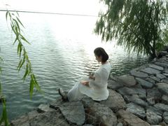 -合肥滨湖国家森林公园