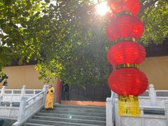 -灵谷景区