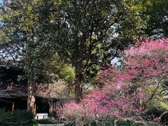-杭州植物园