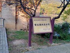 -紫霞湖公园