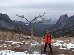 -秦岭风景区
