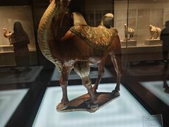 -洛阳古墓博物馆