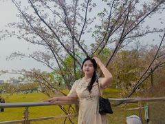 -杭州城北体育公园