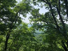 -吉林拉法山