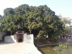 -大旗头古村
