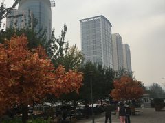 -方恒购物中心(望京小街店)