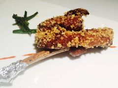 -西郊5号·Maggie 5
