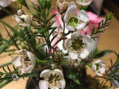 -雕刻时光咖啡馆(北苑店)