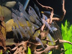 -太平洋海底世界