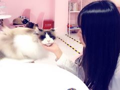 -三花喵·撸猫购宠·宠物生活馆(虹桥南丰城店)