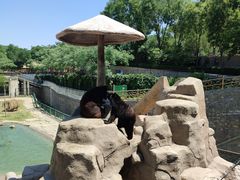 -石家庄市动物园