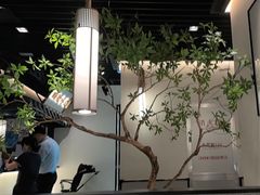 -大榕树下顺德菜(融创茂店)
