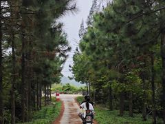 -台山川岛旅游度假区