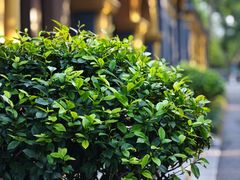 -湖南省立第一师范学校旧址