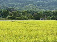 -风云岭森林公园