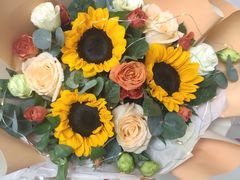 -紫光园(顺义店)