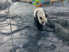 -秦皇岛野生动物园