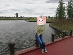 -春花秋色城市公园