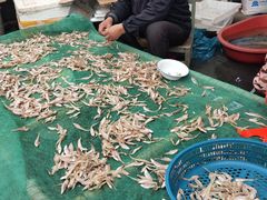 -芦潮港集贸市场