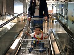 -小娘惹厨房Little Nyonya(狮城有约上榜店)