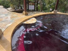-天目湖涵田半山温泉