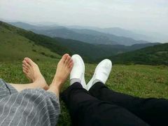 -大姆山草场