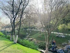 -羊山湖公园