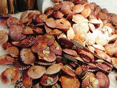 -圣罗巴海鲜烤肉自助(佳兆业店)